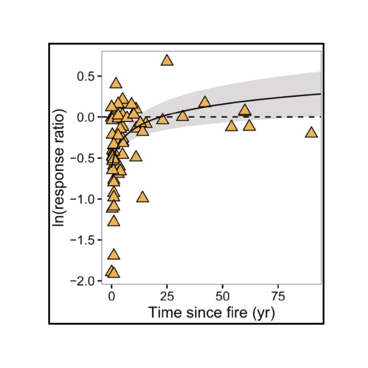 Biosurfactant Discovery Workflows