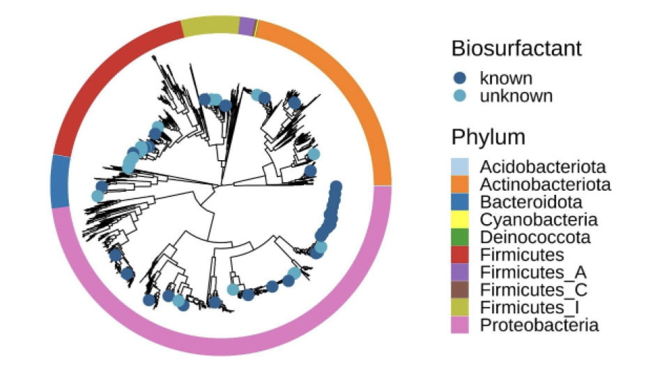 Biosurfactant Discovery Workflows